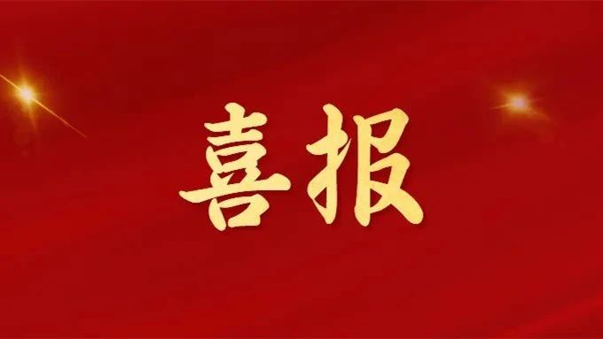 喜报｜中鲁食品公司第二党支部党建工作案例荣获“国企党的基层组织建设优秀案例”