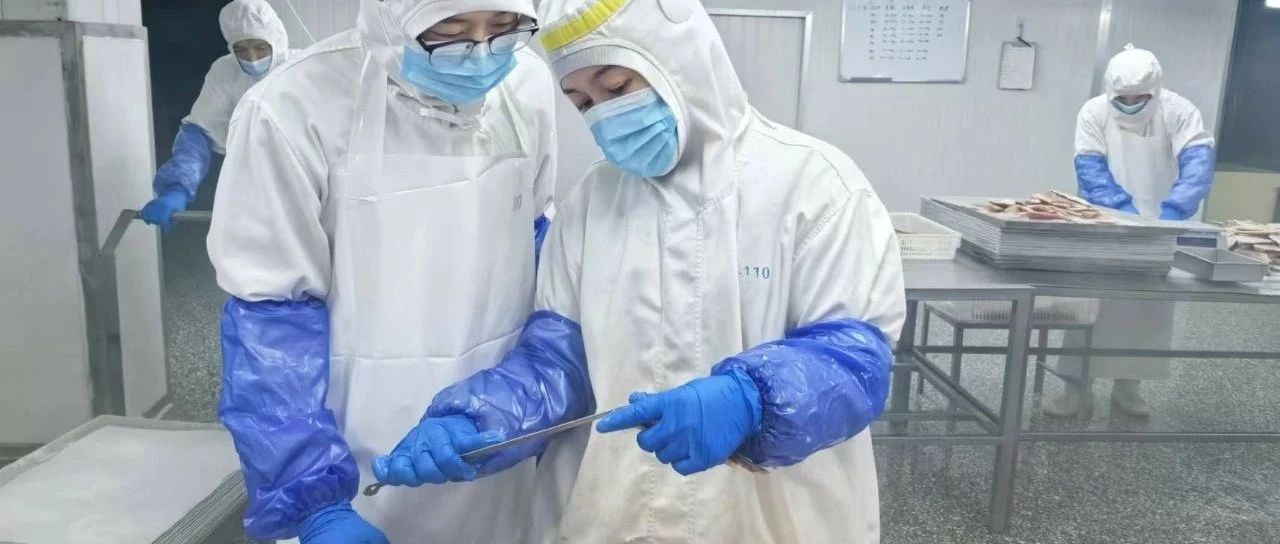 师徒同心 匠心传承｜中鲁食品公司“传帮带”助力新员工成长