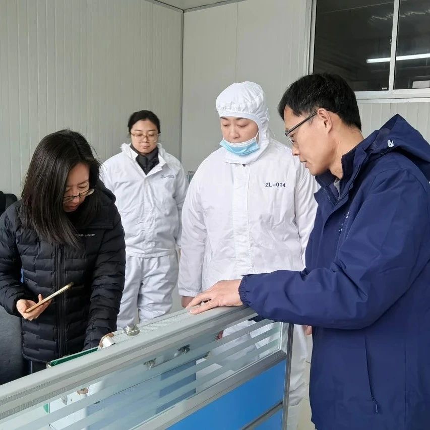 中鲁食品公司顺利通过BSCI认证