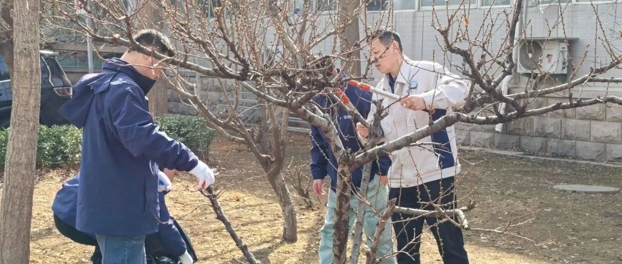 绿意满园 责任同行丨中鲁食品公司开展植树节“守护旧绿 认养新绿”主题活动