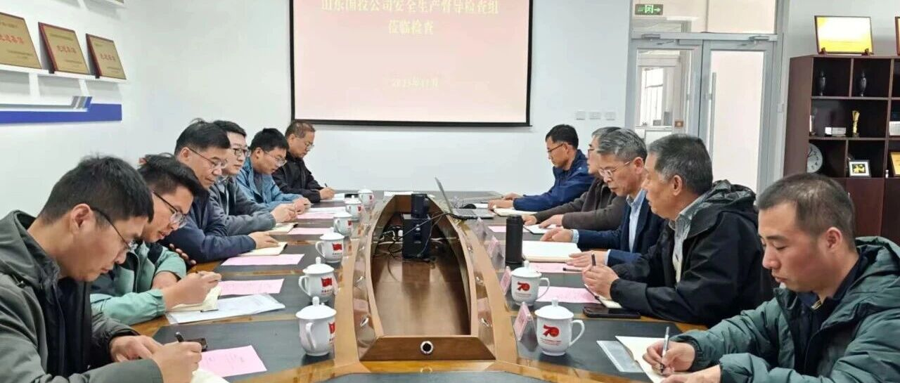 山东国投督导组到中鲁食品公司开展安全生产督导检查