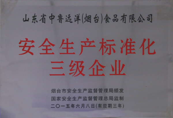 安全生产标准化三级企业