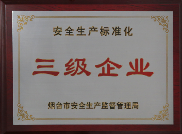 安全生产标准化三级企业