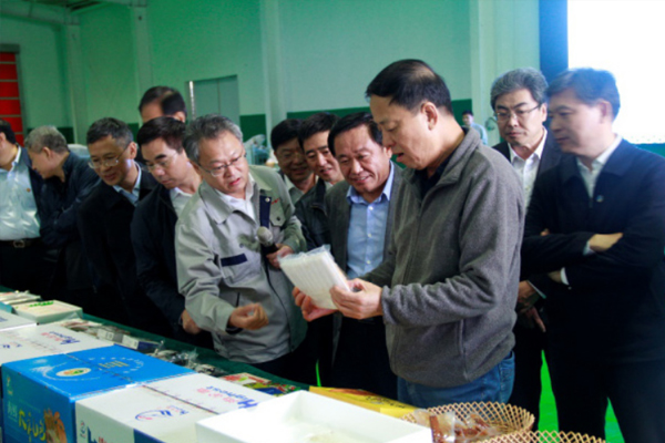 全国人大常委会副委员长武维华率考察团参观中鲁远洋公司