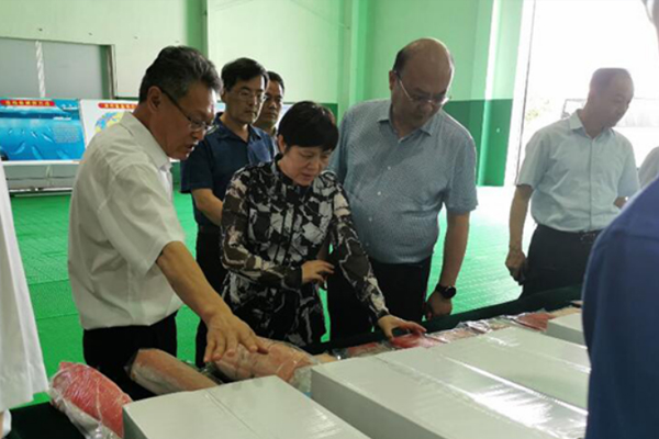 省政府考察团参观金枪鱼交易中心