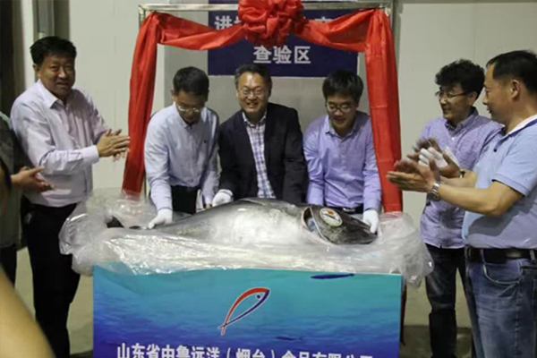 中鲁食品实现冰鲜蓝鳍业务开门红