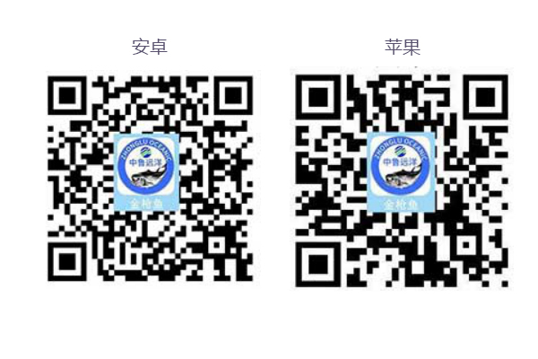 中鲁远洋“金枪鱼”APP正式上线